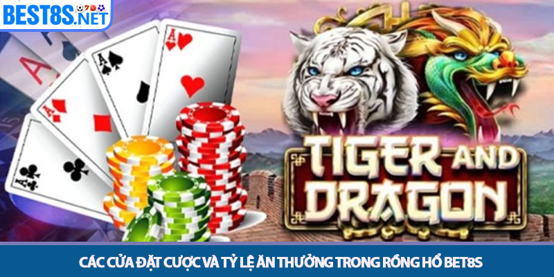 Rồng Hổ - Bí Kíp Săn Thưởng Cực Lớn Tại Nhà Cái Bet8s 3 Các cửa đặt cược và tỷ lệ ăn thưởng trong Rồng Hổ Bet8s