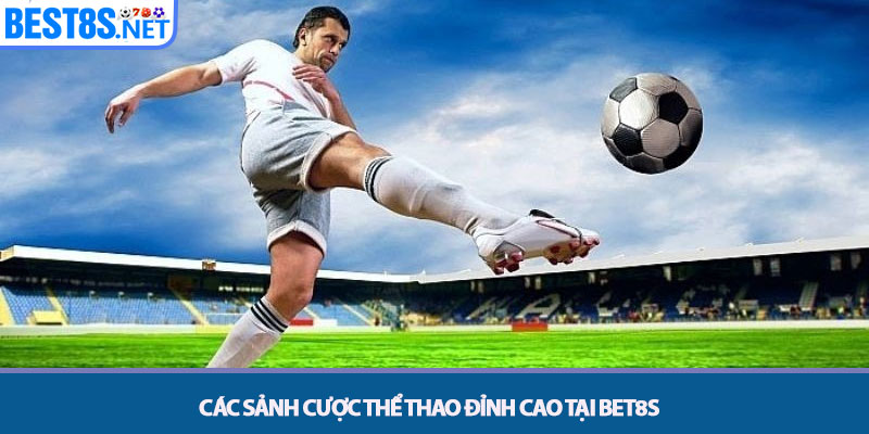 Thể Thao Bet8s – Sảnh Cược Đẳng Cấp Với Tỷ Lệ Kèo Hấp Dẫn 3 Các sảnh cược tại Thể thao Bet8s