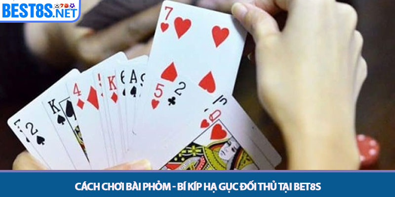 Cách Chơi Bài Phỏm - Bí Kíp Hạ Gục Đối Thủ Tại Bet8s 1 Cách Chơi Bài Phỏm - Bí Kíp Hạ Gục Đối Thủ Tại Bet8s
