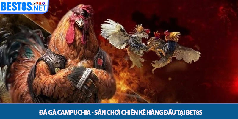 Đá Gà Campuchia - Sân Chơi Chiến Kê Hàng Đầu Tại Bet8s 1 Đá Gà Campuchia - Sân Chơi Chiến Kê Hàng Đầu Tại Bet8s