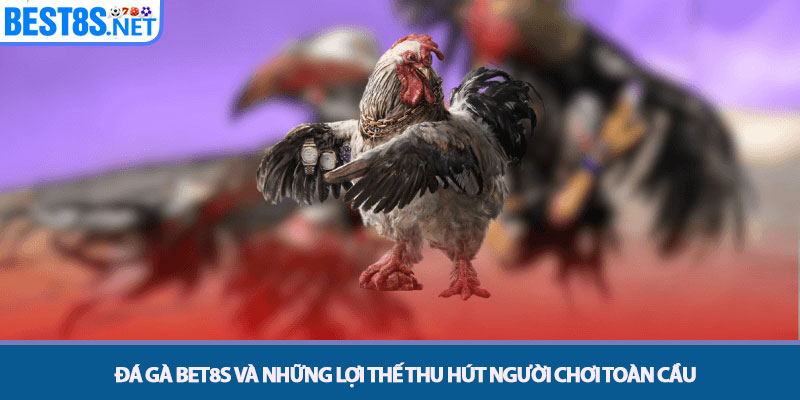 Đá Gà Bet8s - Đấu Trường Kịch Tính, Tỷ Lệ Trả Thưởng Cao 2 Đá gà Bet8s và những lợi thế thu hút người chơi toàn cầu
