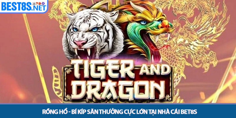 Rồng Hổ - Bí Kíp Săn Thưởng Cực Lớn Tại Nhà Cái Bet8s 1 Rồng Hổ - Bí Kíp Săn Thưởng Cực Lớn Tại Nhà Cái Bet8s